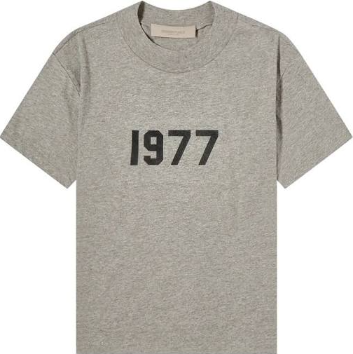 Essentials Fear Of Gods 1977 Iron T-shirt Authentic- Gray